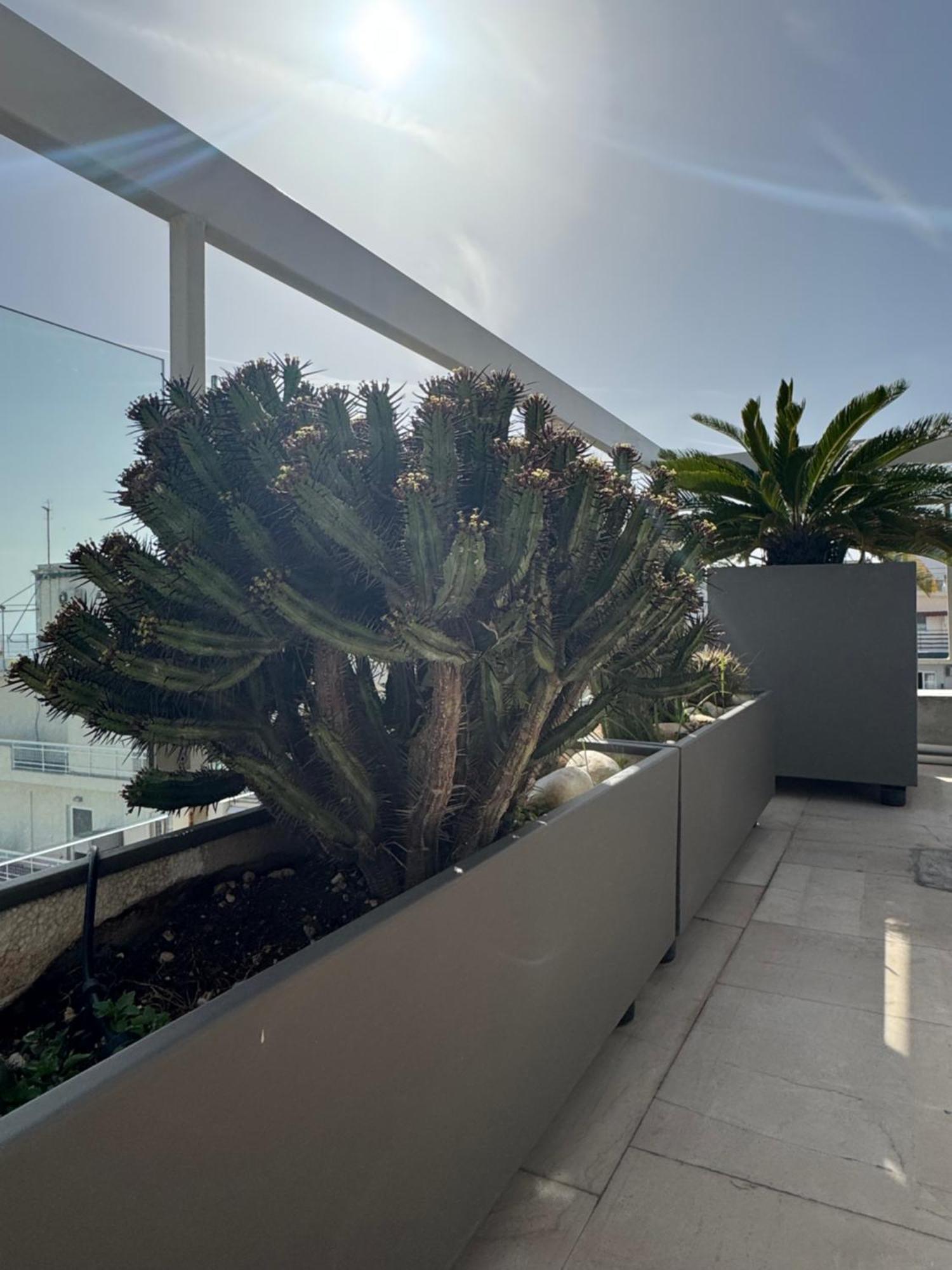 Sea Horizon Penthouse Flat Apartment Athens Exterior photo